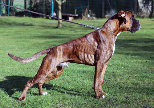 030 Joop 8 Monate kl kl