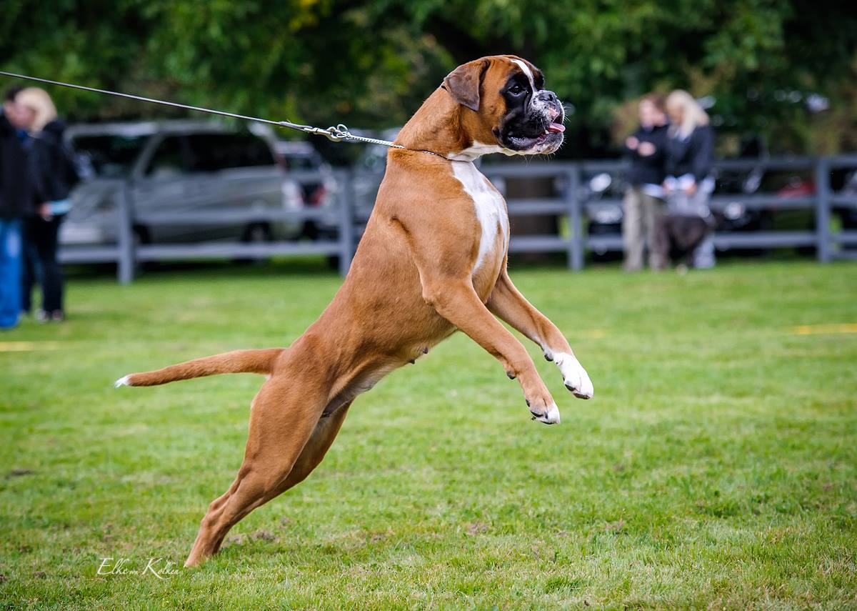 10547082_725077170891646_5937783229097086688_o