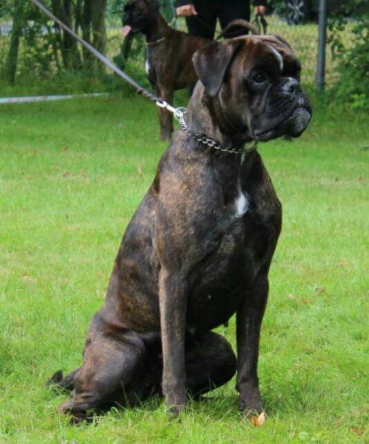 10624777_10204739676676028_5389786183399466019_n