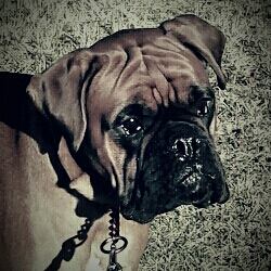 1901197_10200989487174012_797135306_n