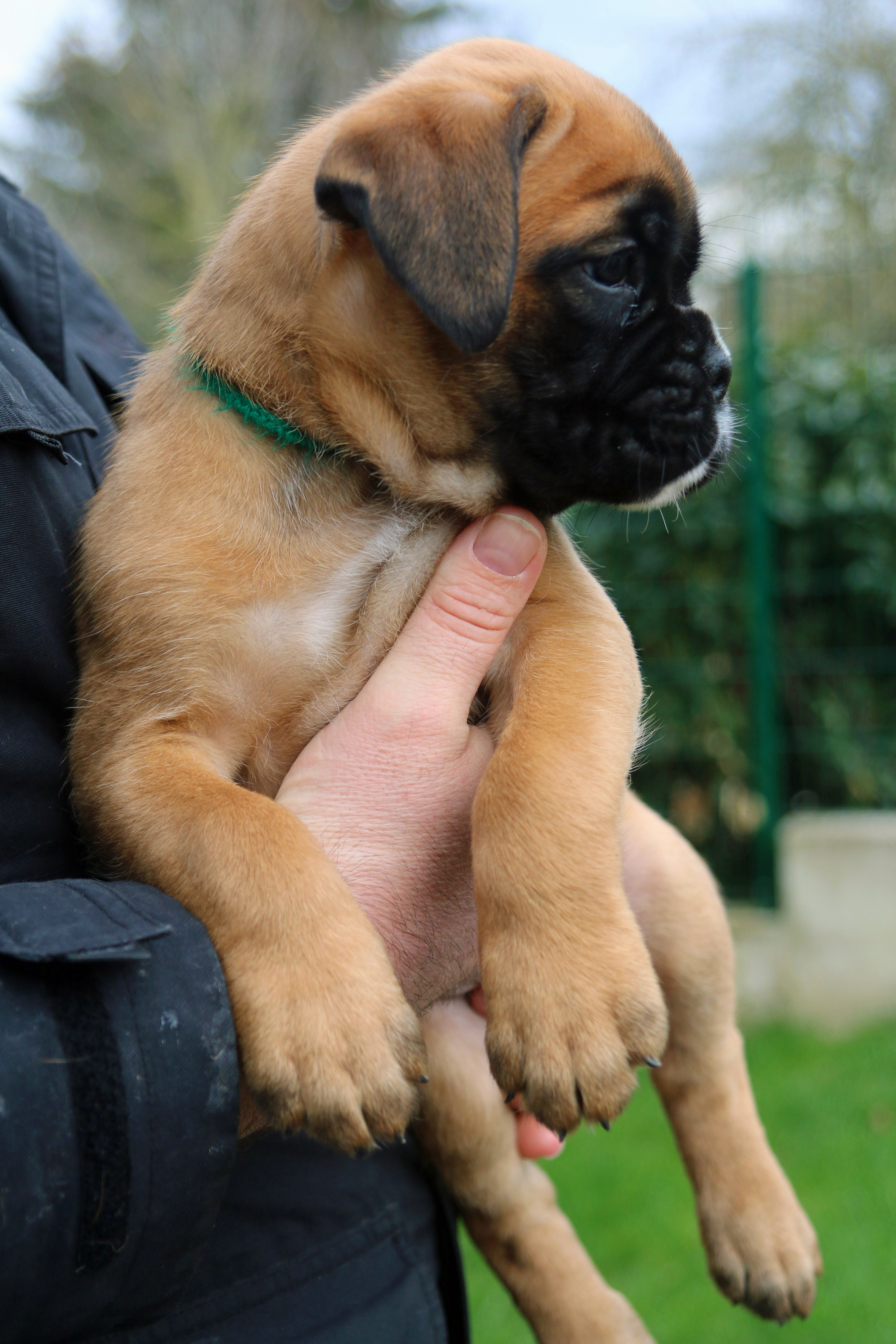 1x oberst IMG_2230 kl