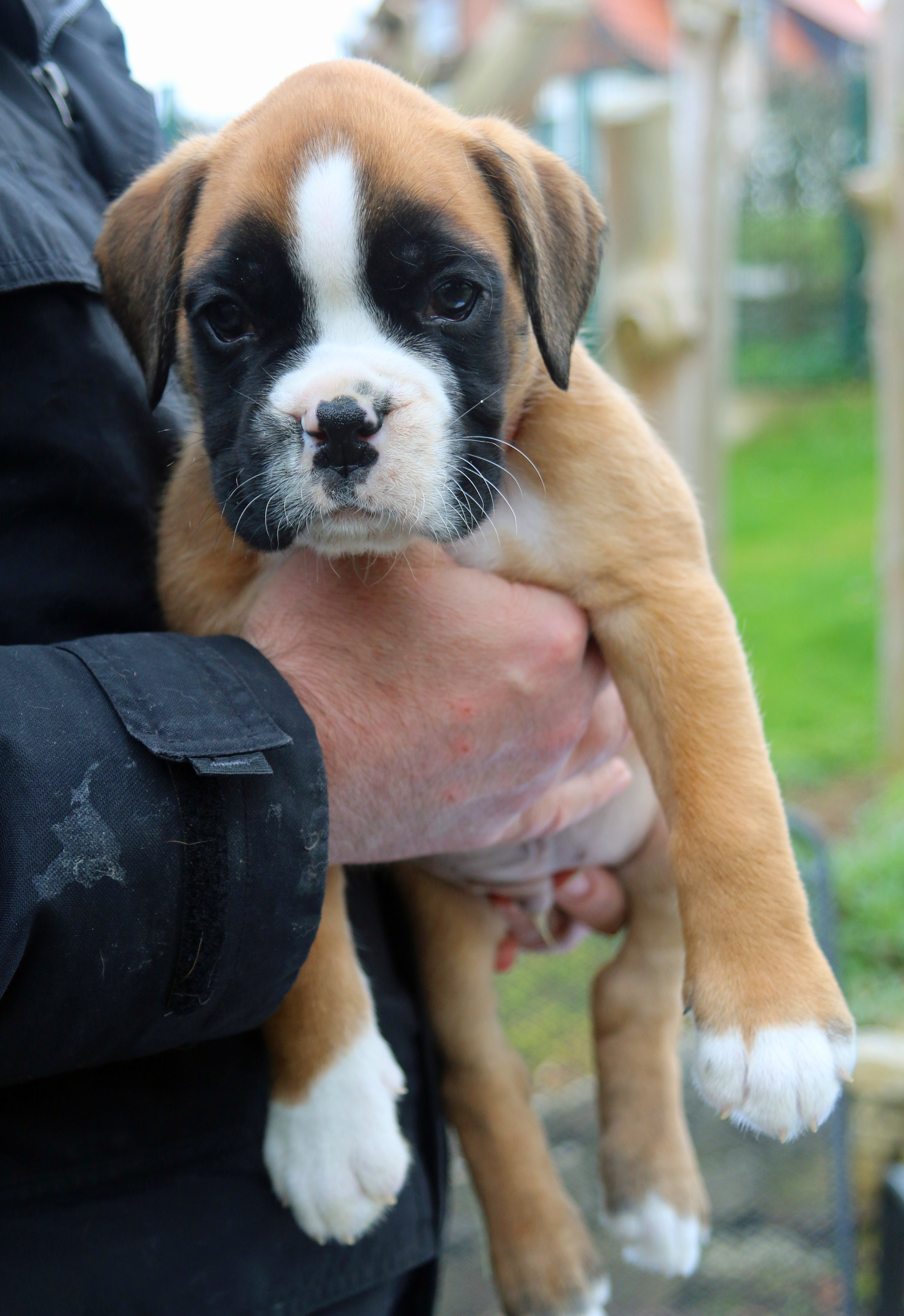 1x olino IMG_2282 kl