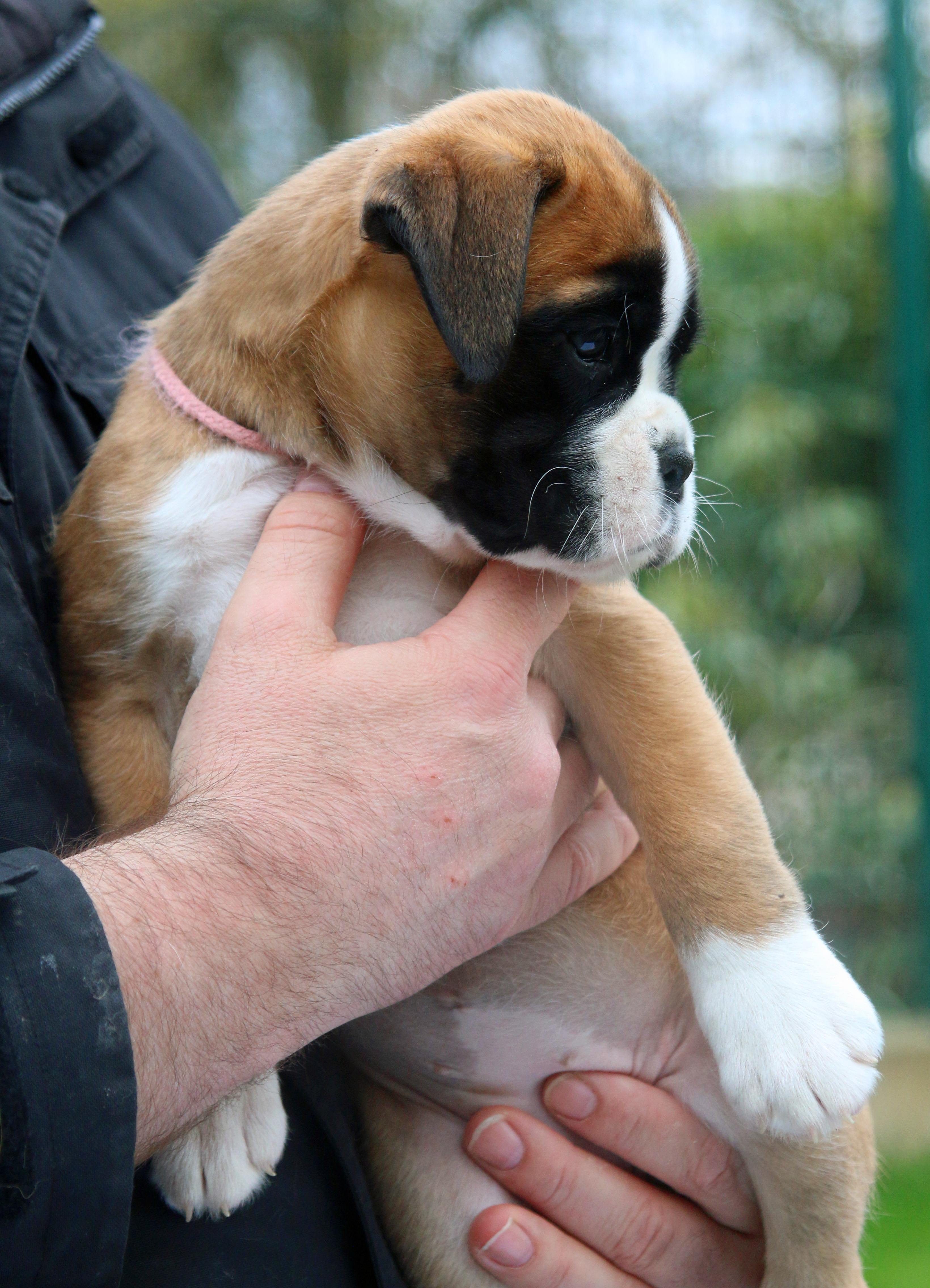 1x olympia IMG_2315 kl