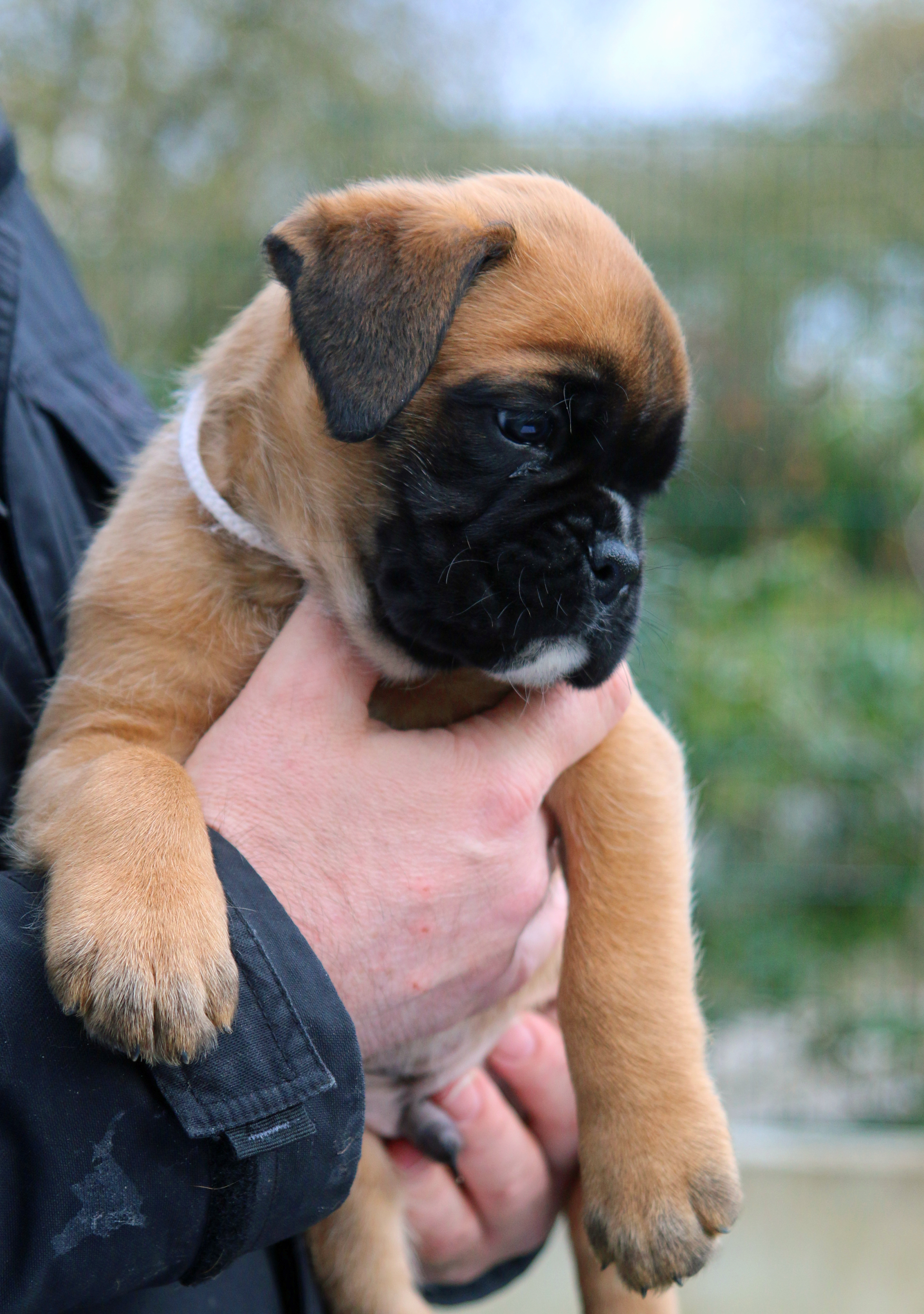 1x oskar IMG_2244 kl