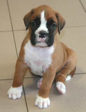 5._woche_eileen_klein