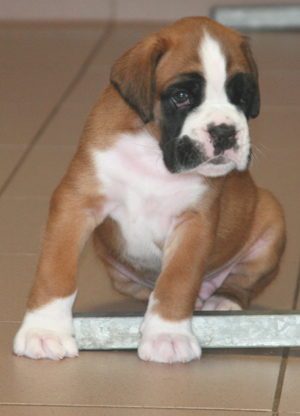 5._woche_ennox_klein