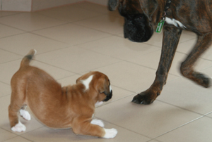 5._woche_ennox_und_kimi_klein