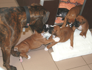 5._woche_kimi_und_e_s_klein