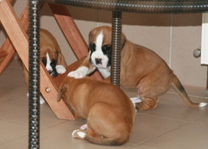 5._woche_tisch_klein