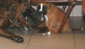 6._w_mit_kimi_3_klein