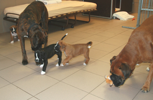 6._w_mit_kimi_4_klein