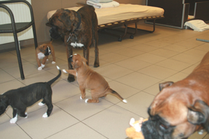 6._w_mit_kimi_5_klein