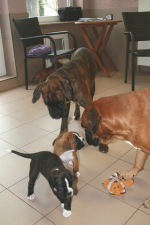 6.w_mit_kimi_1_klein