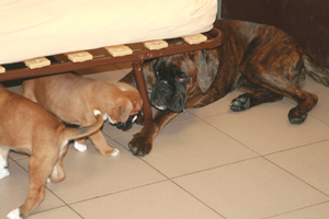 6.w_mit_kimi_2_klein