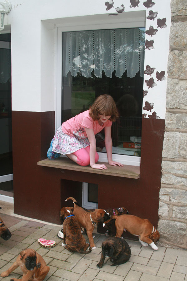 6w mira fensterbank kl