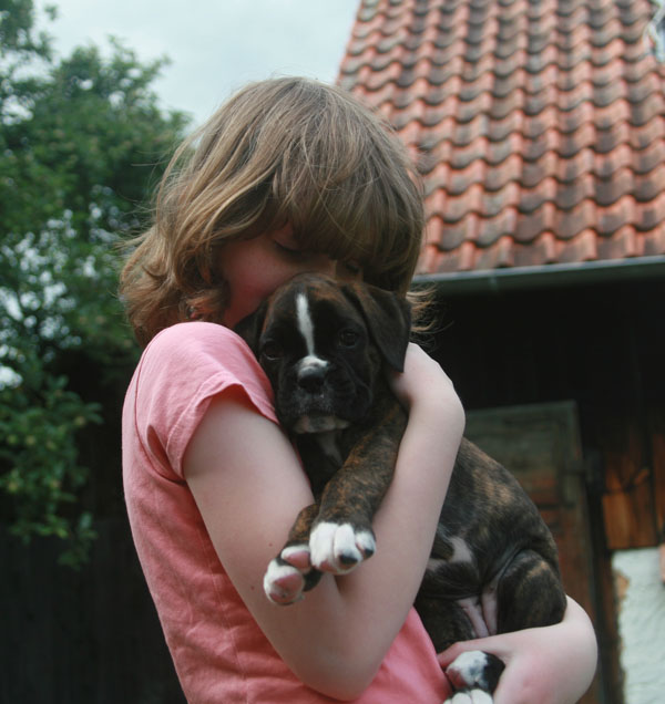 6w mira florenzia kl