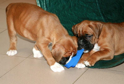 7w_elsa-eileen_klein