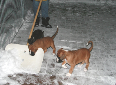 7w_schneeschieben_klein