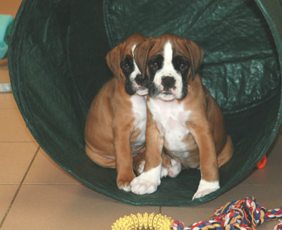 7w_tunnel_ennox-ella_klein