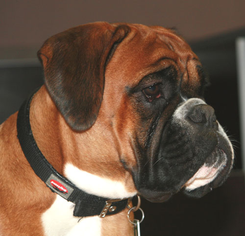 8w  es donella klein