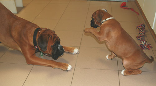 8w donella elsa klein