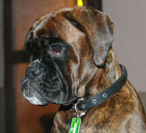 8w mit es kimi klein