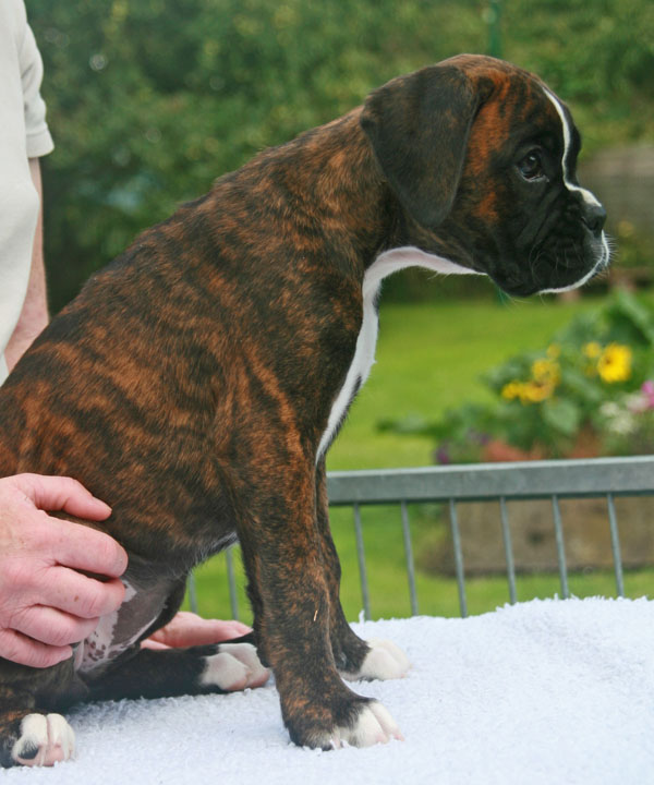 9w florenzia sitz kl