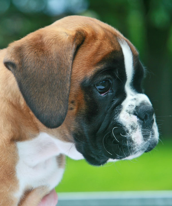 9w florian kopf 3 kl