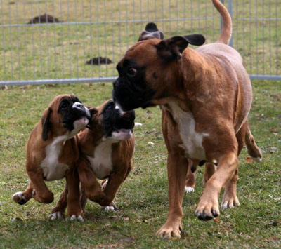 9w rennen mit mama klein