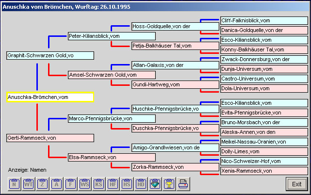 Ahnentafel Anuschka vom Brmchen