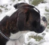 Anu-vom-Oggersheimer-Schloss-----ww6iWOesrbeXuIXtFH3Jyd6nsApf2Xc8_kc7Ydrmry8,