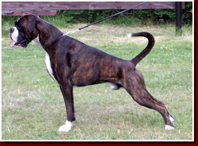 Aristo-von-der-Coeur_Standbild