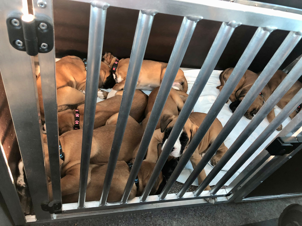 Autofahrten IMG_5168 klein