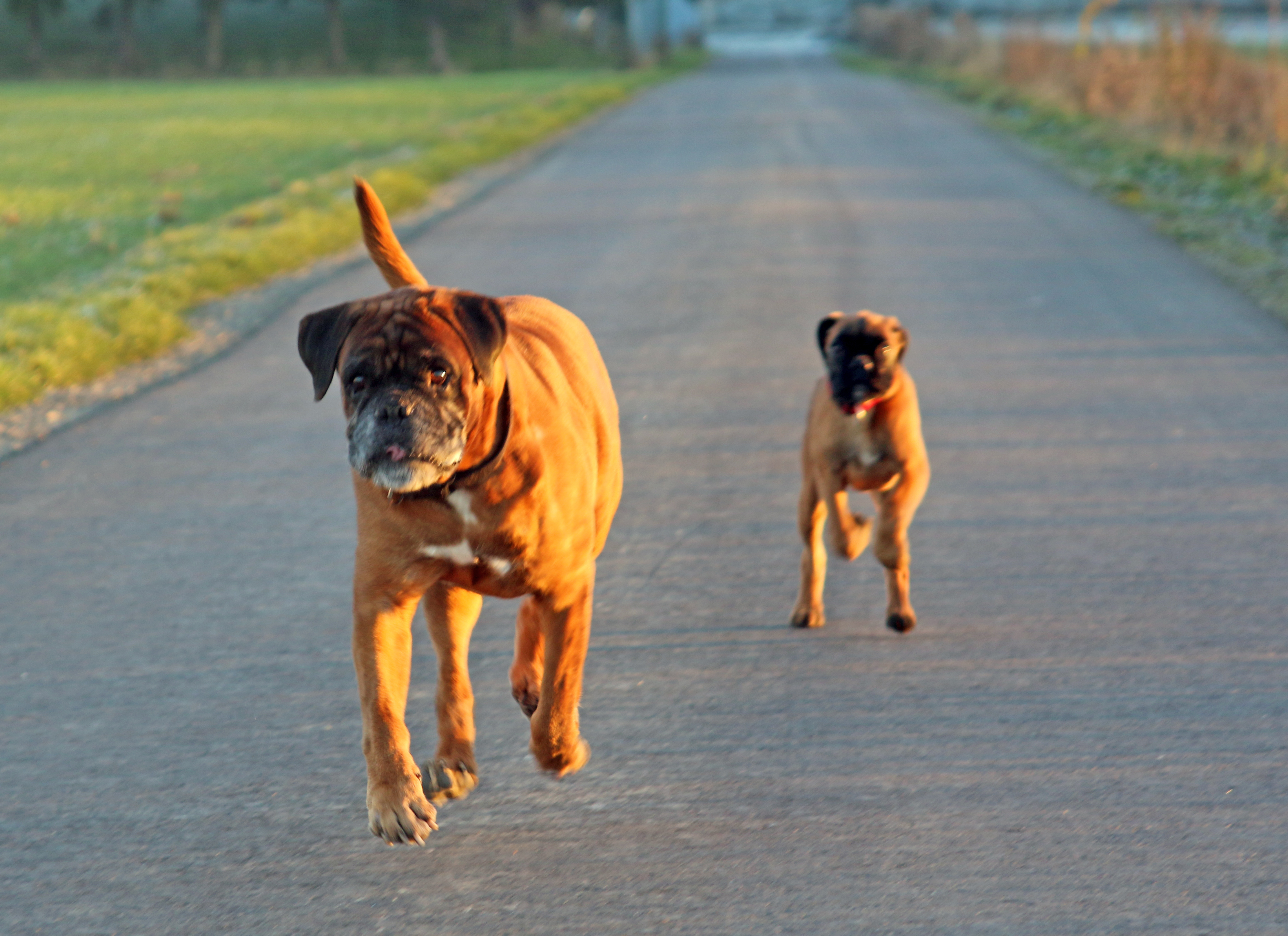 Balino`s 10. Geburtstag 2
