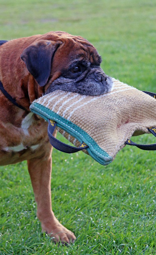 Balino 150 beisskissen