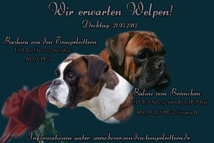 Balino und bashira Balino und bashira