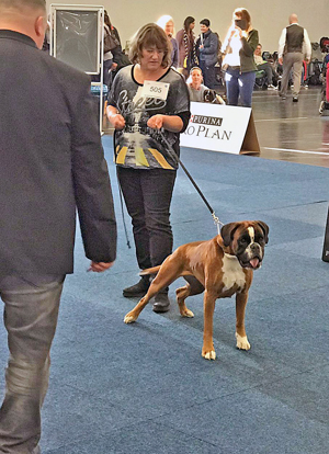 Bundessieger Greta 2 kl