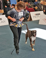 Bundessieger Kiwi 3 kl