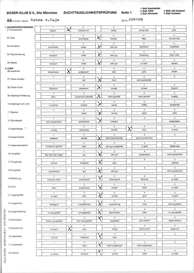 ZTP Bericht Cobra von Cujo