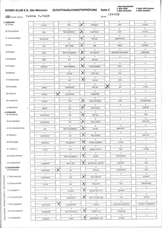 ZTP Bericht Cobra von Cujo