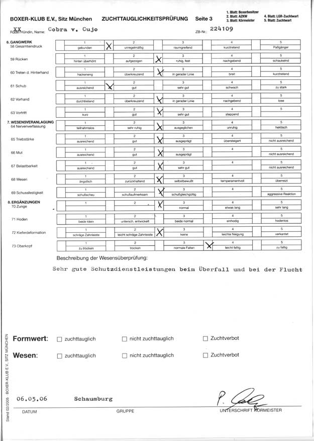 ZTP Bericht Cobra von Cujo