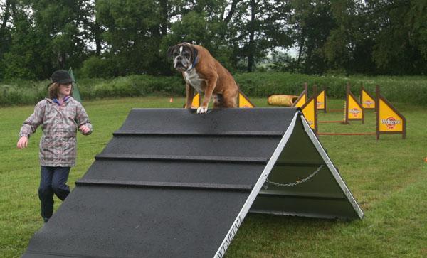 Darwin-vom-Hause-Lievre-----2KnN4UueC9ryTZq3DDGJGfHsgzyQOPr_oL26MRSx2Sw,