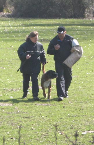 Darwin vom Hause Lievre