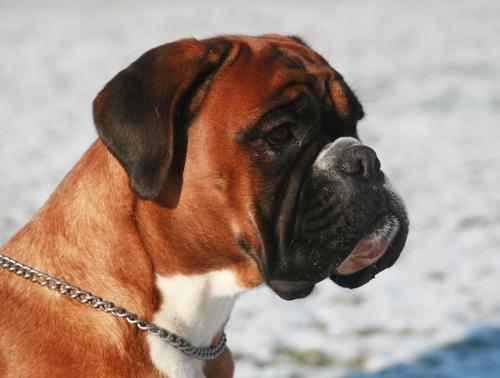 Donella-vom-Brmchen-----80QvbUkvfV1Rv-a2BELgSgYv0xreiFA9737GCRbFocM,