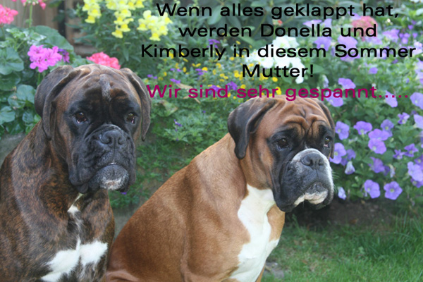 Donella Kimi Blumen Kl kl