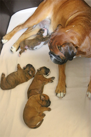 Donella mit babys kl kl Kopie