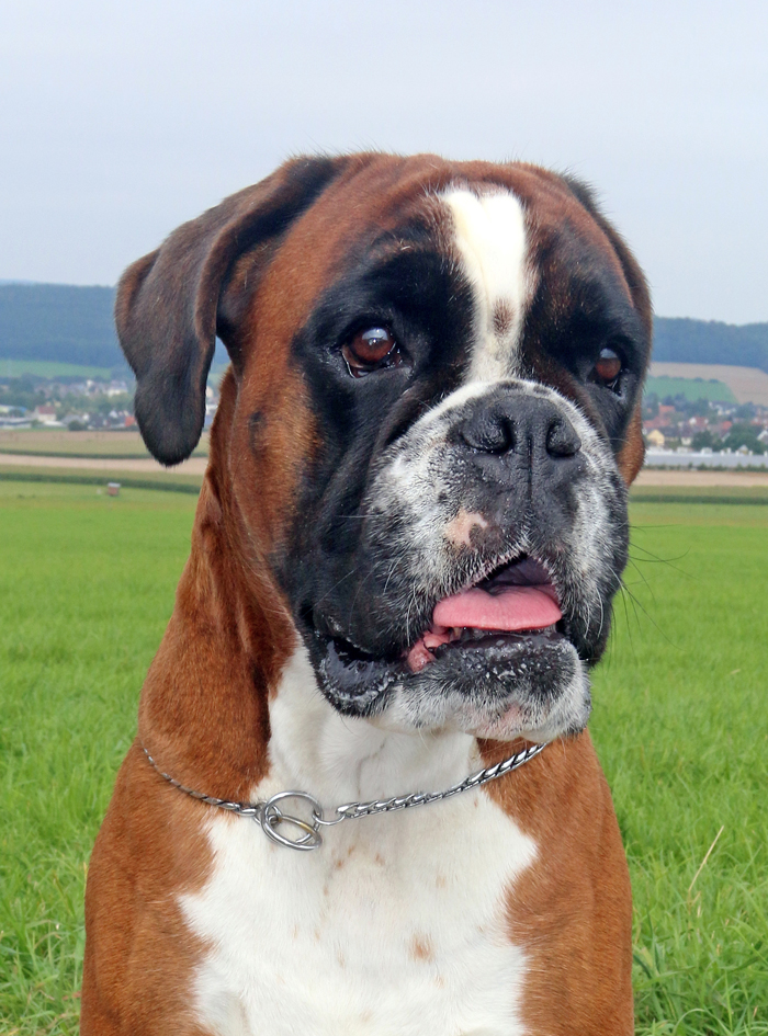 HP Greta Kopf Sep 2017