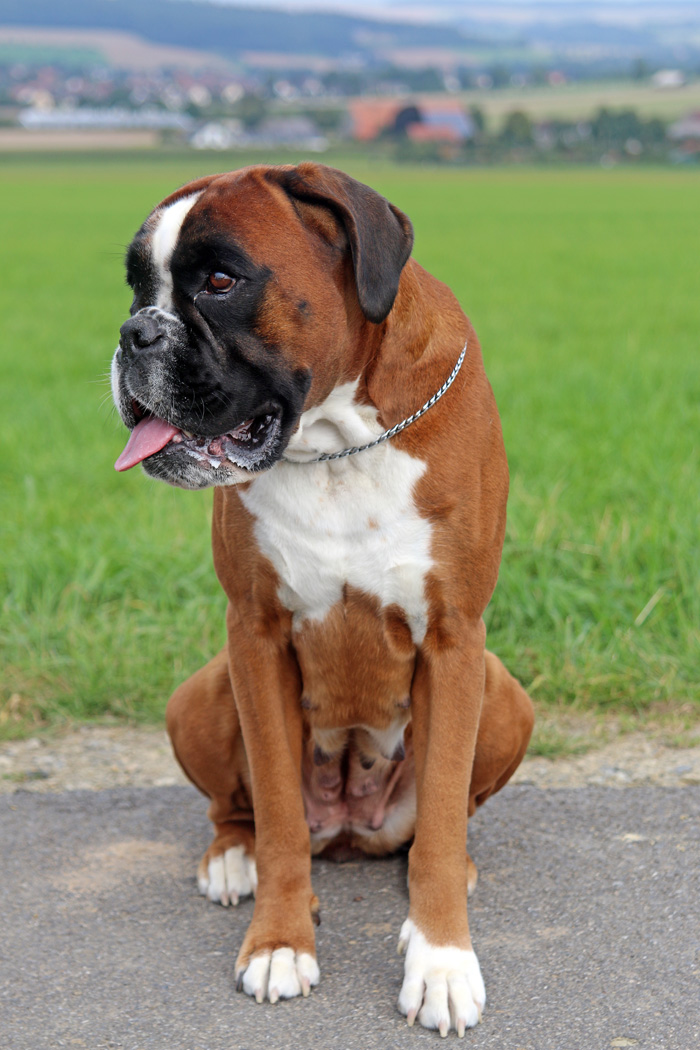 HP Greta sitz Sep 2017