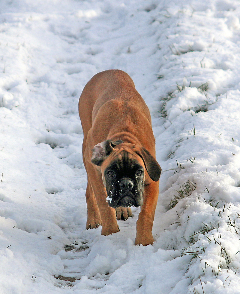 HP Lilli lauert ax 167 kl