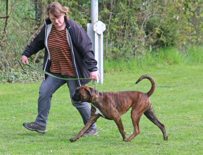 HP x laufen IMG_9755 kl